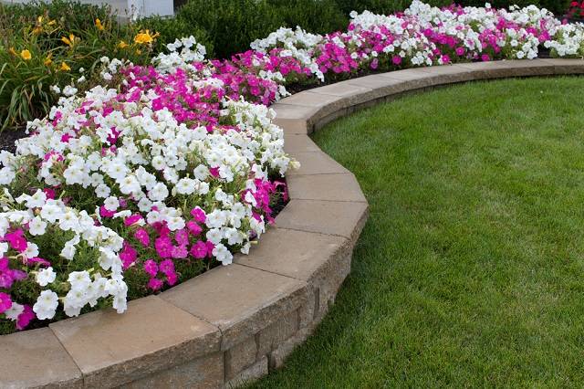 Gallery image 12 — softscaping services San Jose
