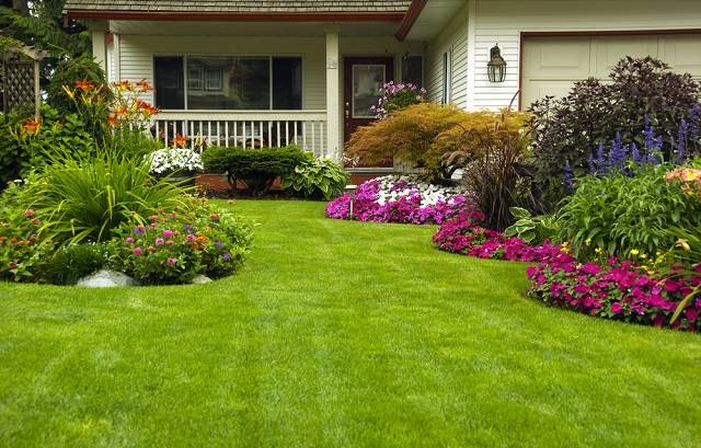 Gallery image 10 — softscaping services San Jose