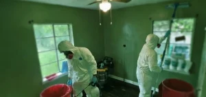 Gallery image 5 — biotrauma cleanup in Cypress
