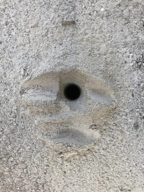 Gallery image 5 — termite control San Jose