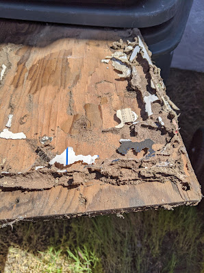 Gallery image 1 — termite control San Jose