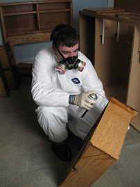 About bed bug steam treatment Brookdale