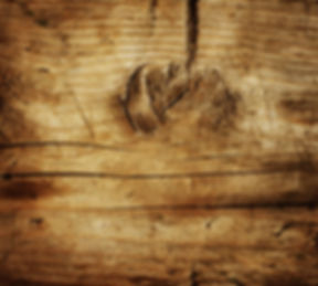 Gallery image 3 — professional bed bug extermination San Mateo