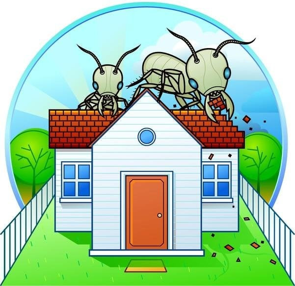 professional bed bug extermination San Mateo