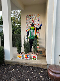 Gallery image 5 — ant control near me