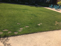 Gallery image 8 — ant control near me