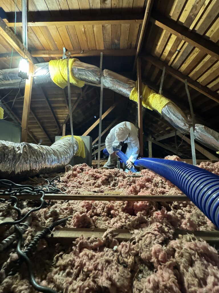 About chemical-free rat extermination near me