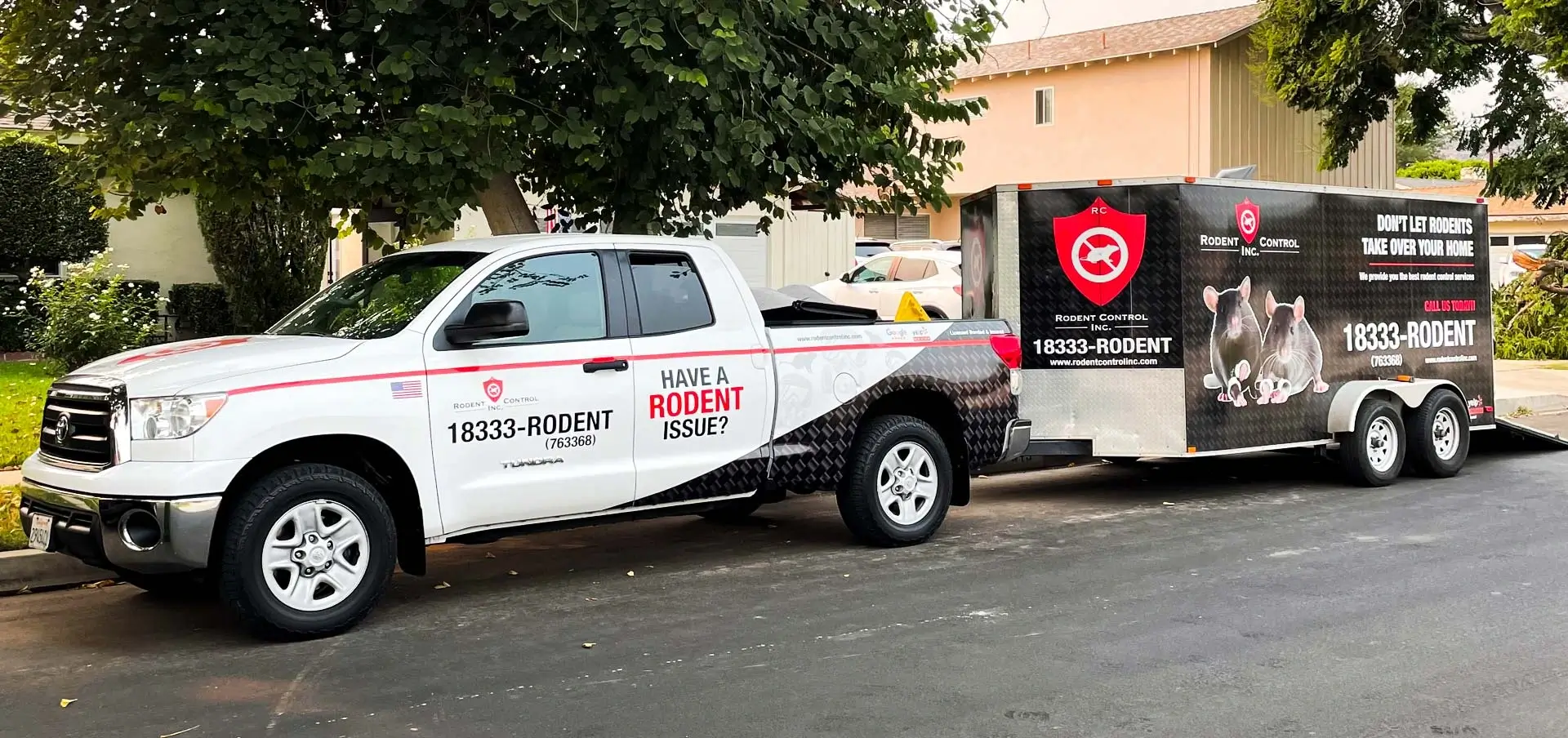 Gallery image 2 — chemical-free rat extermination near me