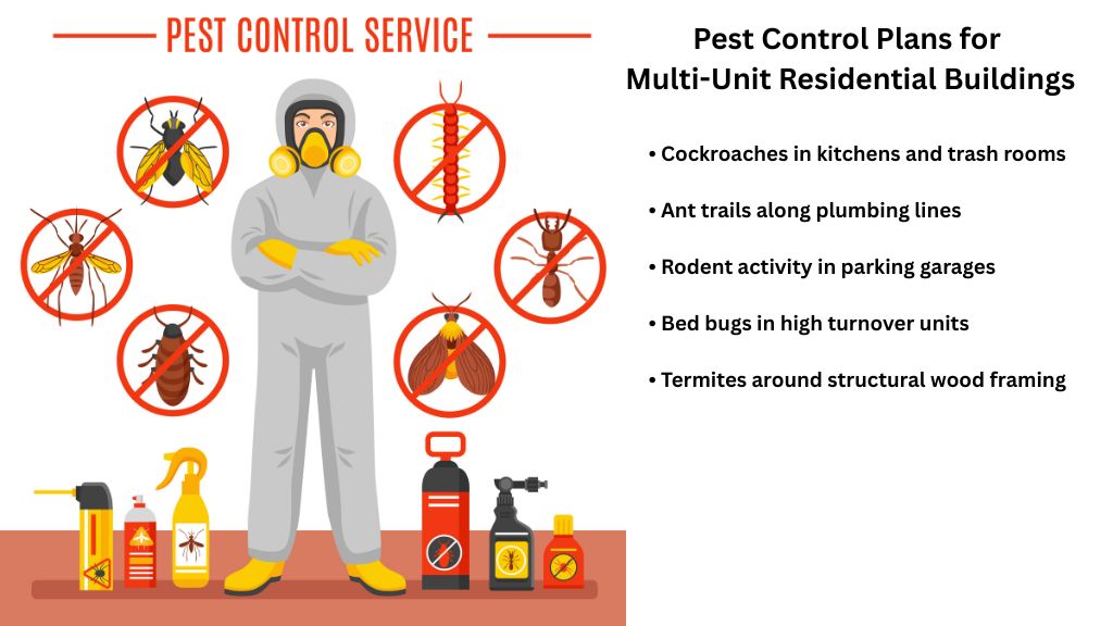 Gallery image 5 — same-day pest control South Bay