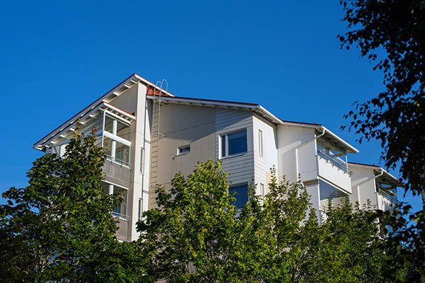 Gallery image 8 — ant exterminator near me