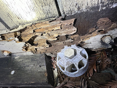 residential fumigation services in Alameda