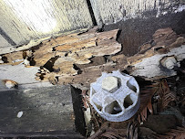 Gallery image 4 — residential fumigation services in Alameda