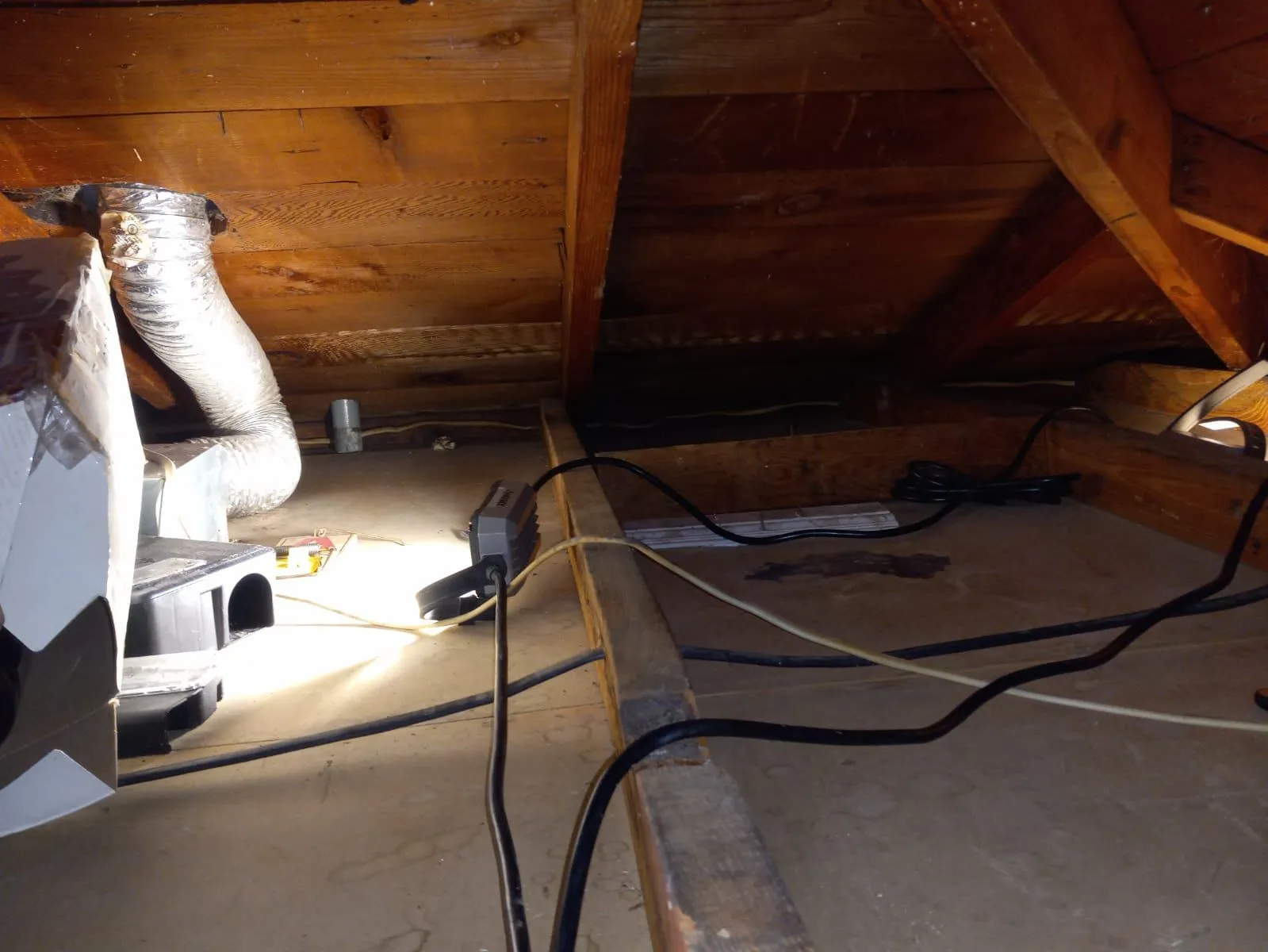 About eco-friendly pest control near me