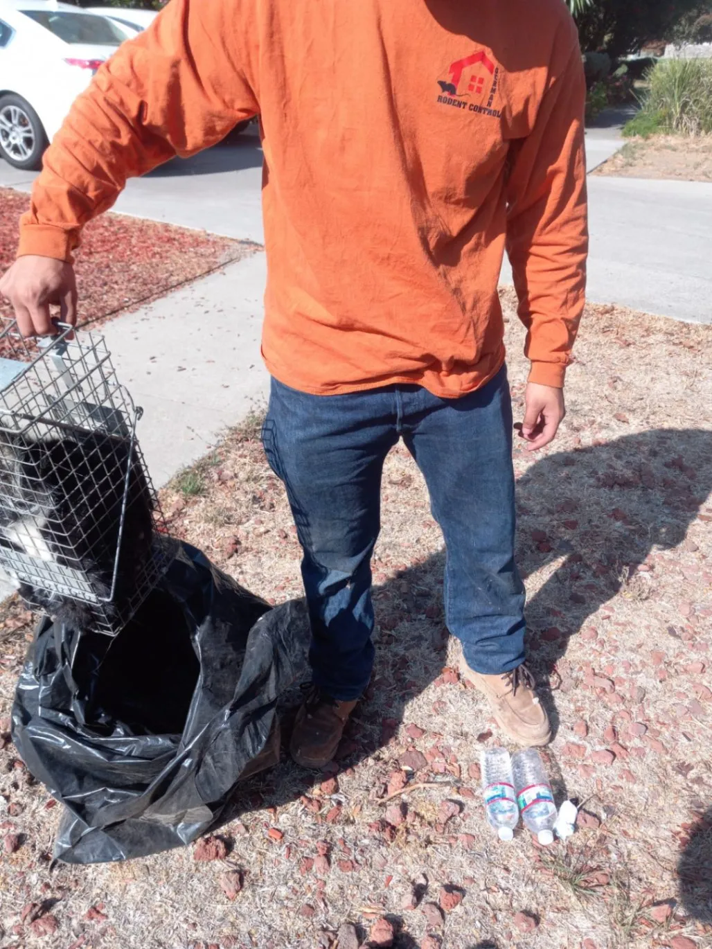 Gallery image 8 — eco-friendly pest control near me