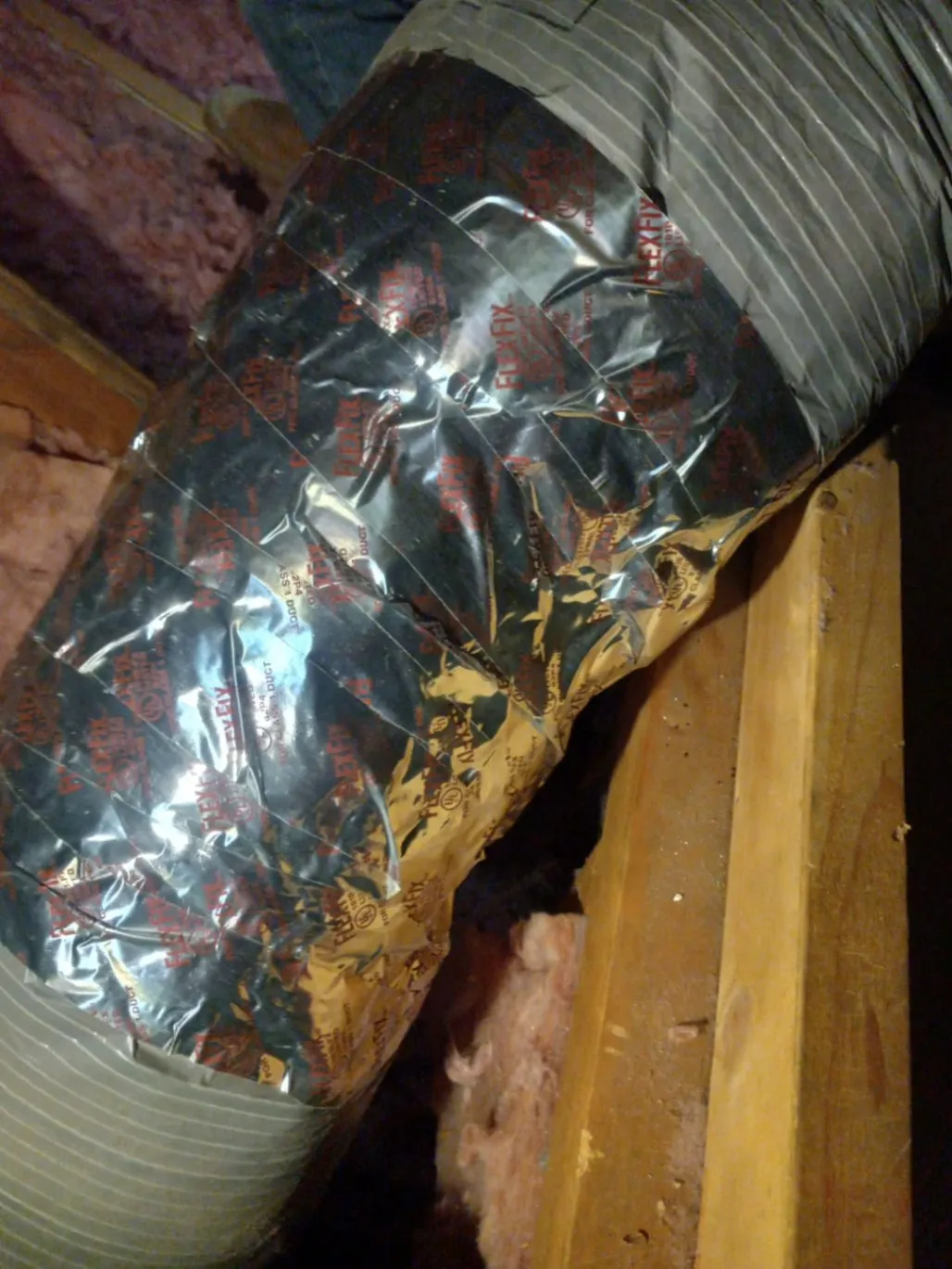 Gallery image 6 — eco-friendly pest control near me