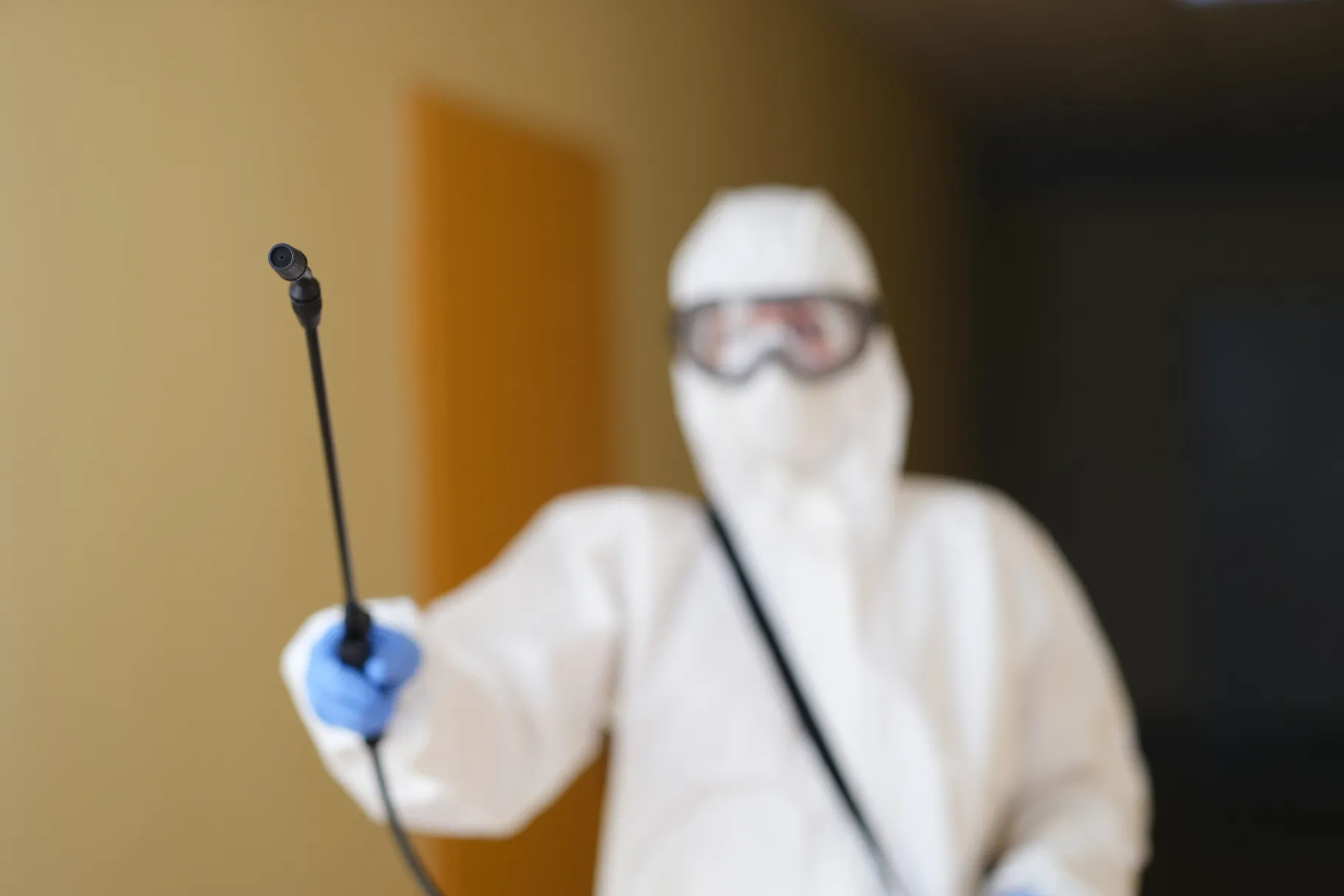 Gallery image 5 — eco-friendly pest control near me