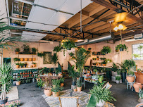 Gallery image 6 — plant maintenance service near me