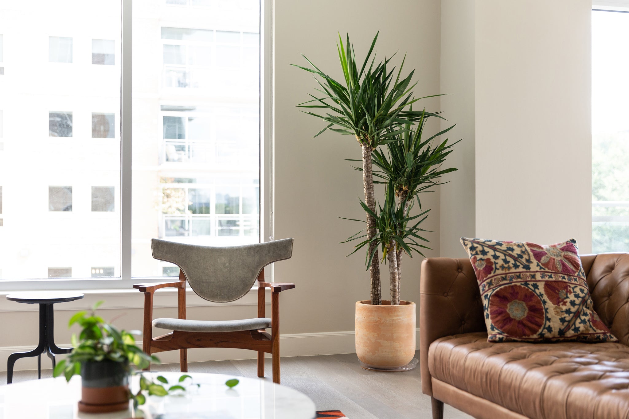 About plant maintenance service near me