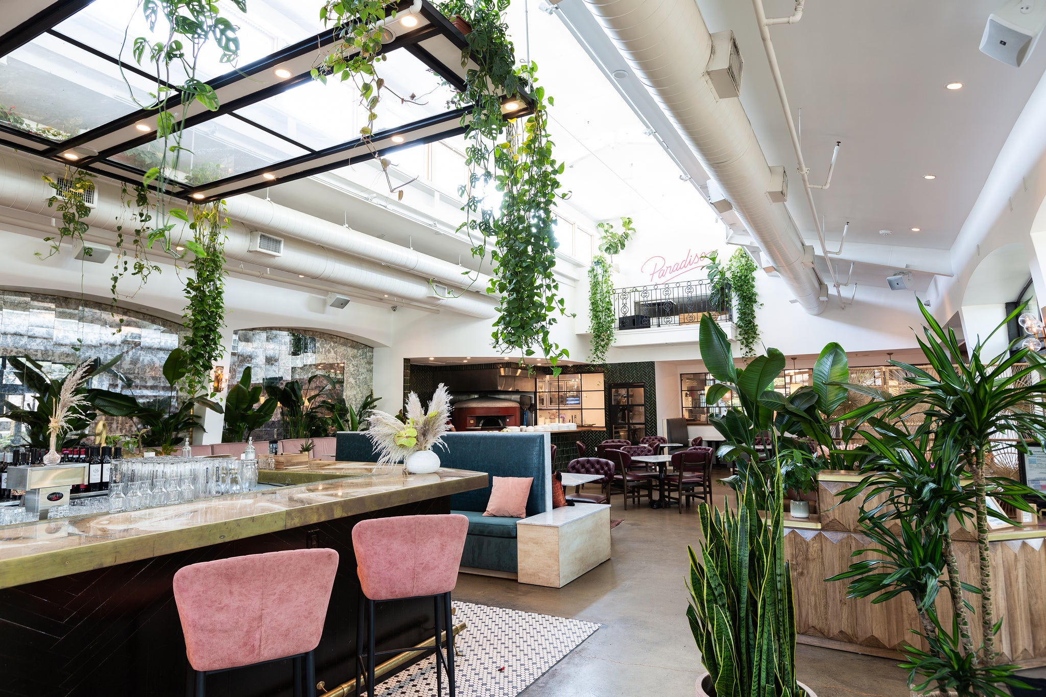 plant maintenance service near me