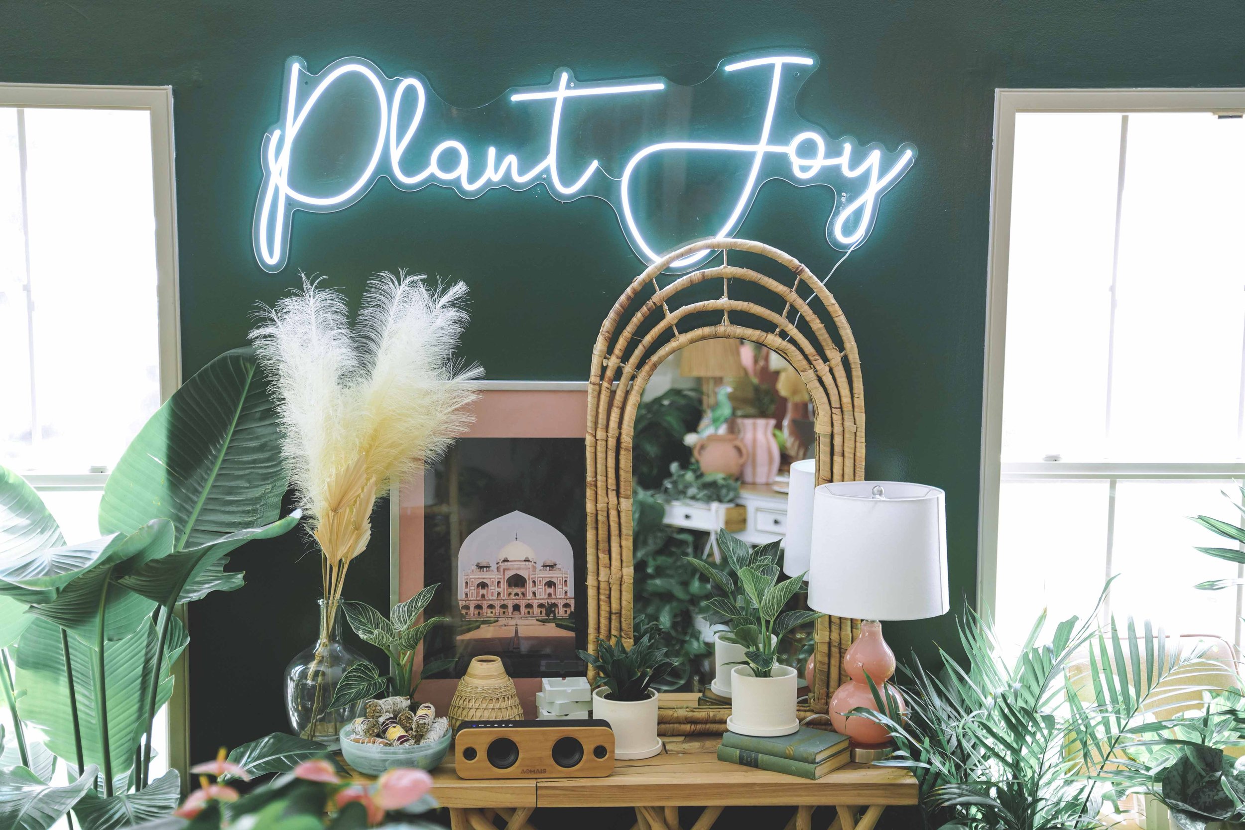 indoor plant design Houston