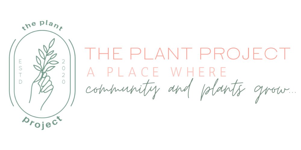 Gallery image 6 — indoor plant design Houston