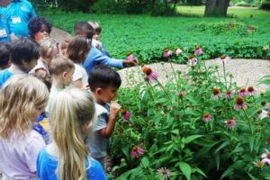 Gallery image 3 — nature photography shoot in Dallas