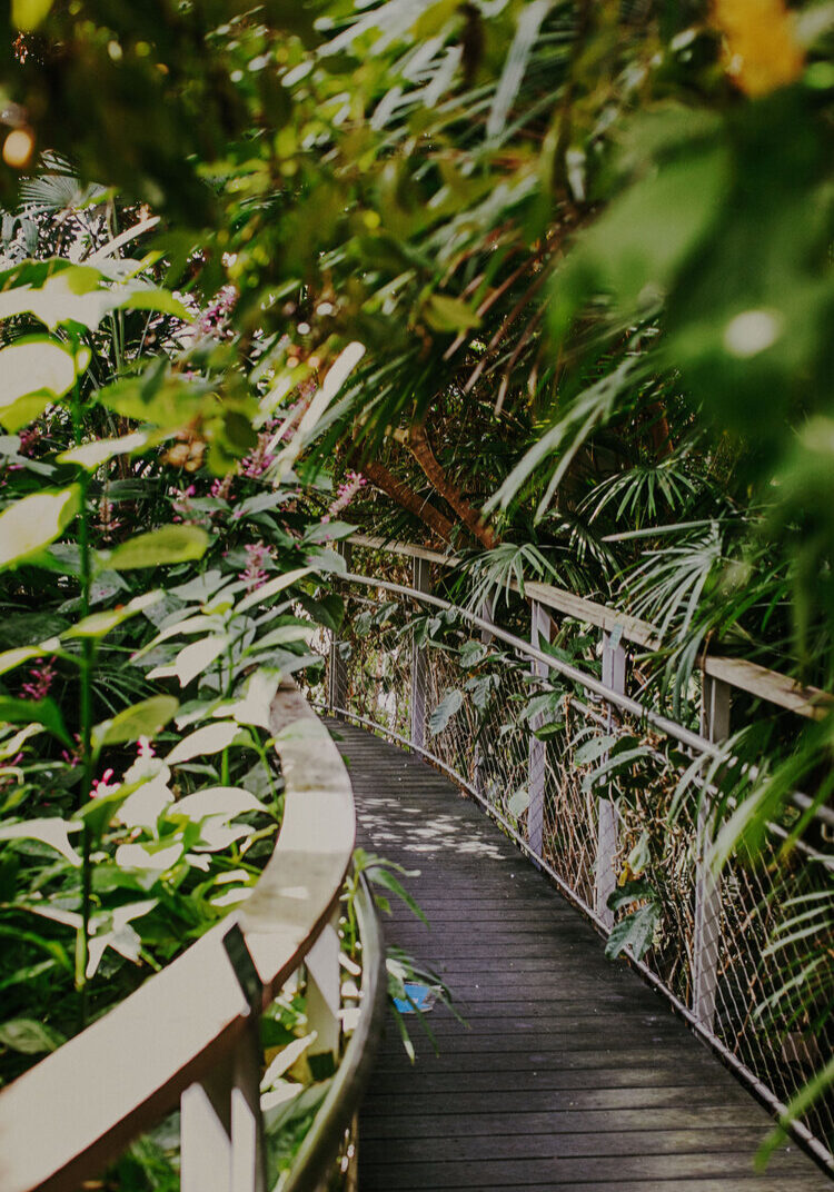 nature photography shoot in Dallas