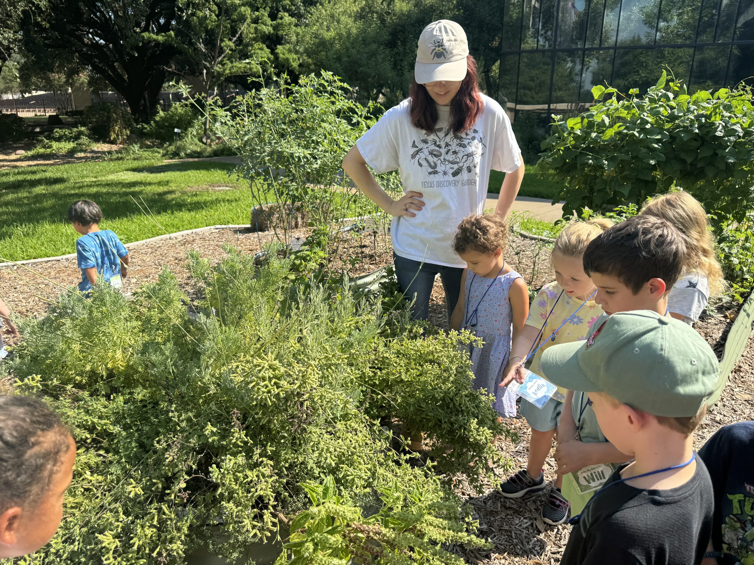 Gallery image 4 — nature photography shoot in Dallas