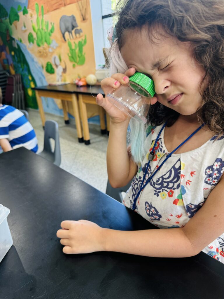 About nature photography shoot in Dallas