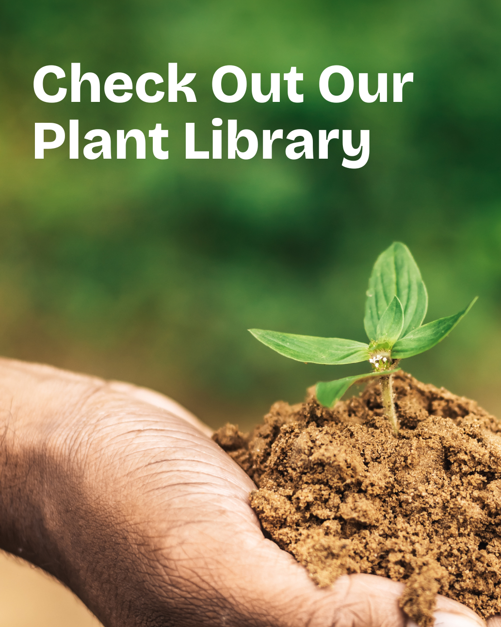 Gallery image 7 — irrigation services Dallas