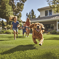 Gallery image 1 — professional turf installers Dallas-Fort Worth