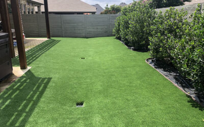 professional turf installers Dallas-Fort Worth