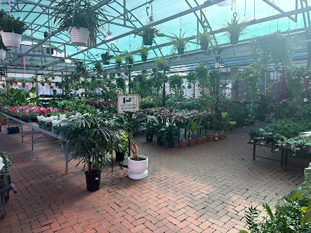 Gallery image 10 — tropical plants Dallas