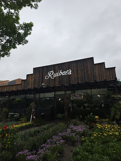 Gallery image 3 — tropical plants Dallas