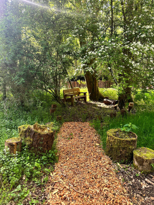 Gallery image 1 — sustainable site design in Austin