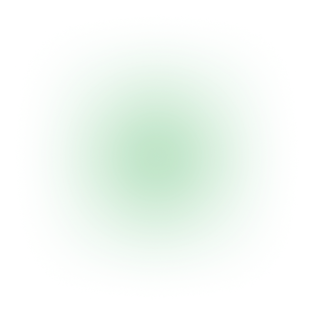 custom holiday light displays DFW