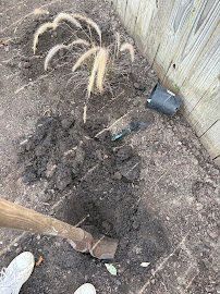 About garden maintenance while on vacation DFW