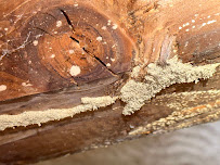 Gallery image 5 — best pest control Santa Clara County