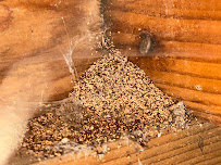 Gallery image 7 — best pest control Santa Clara County