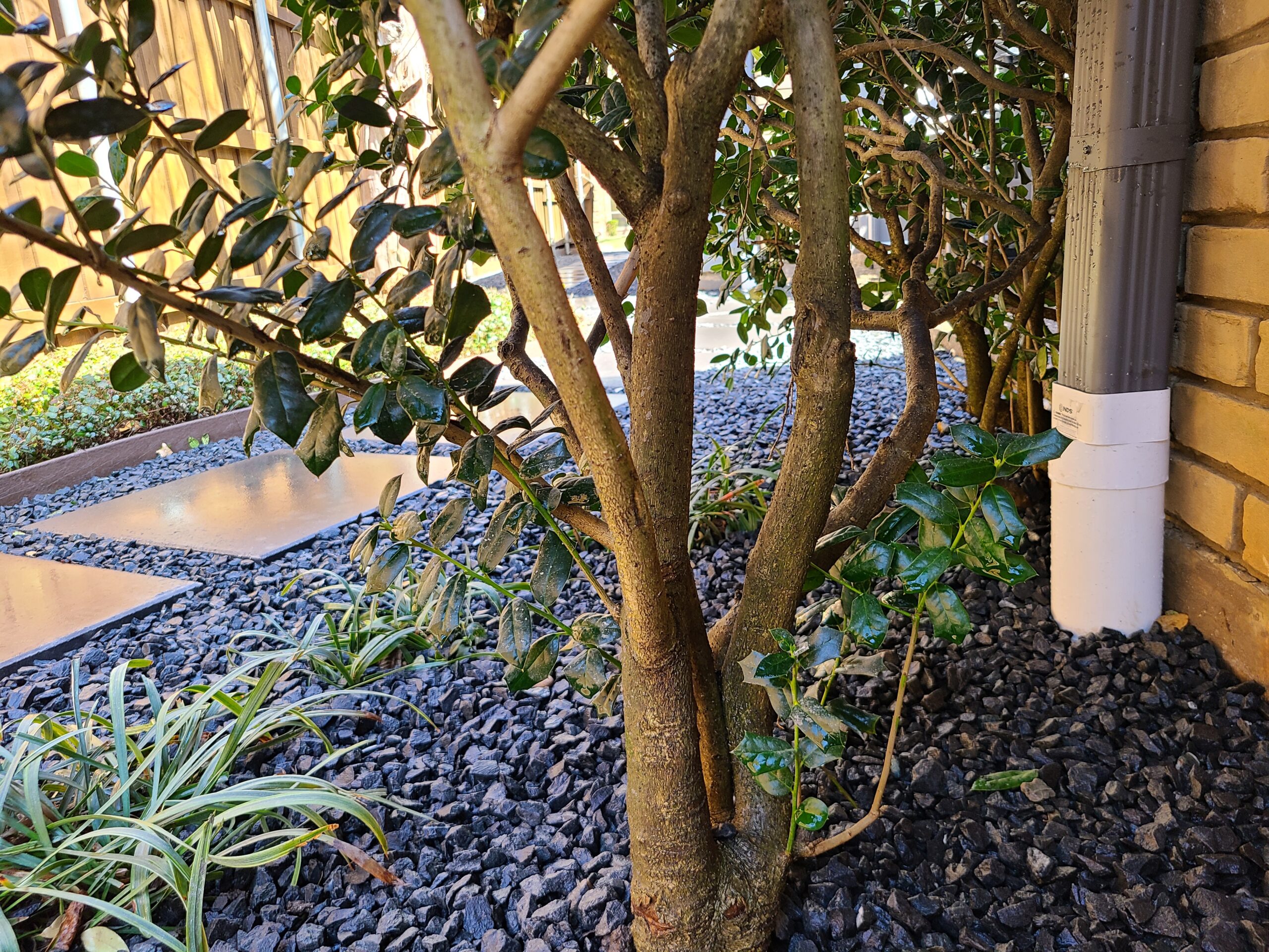 Gallery image 4 — residential drainage repair near me