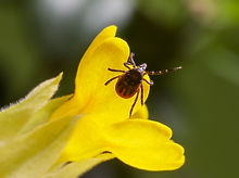 Gallery image 7 — commercial pest control San Jose