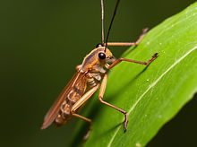 Gallery image 11 — commercial pest control San Jose