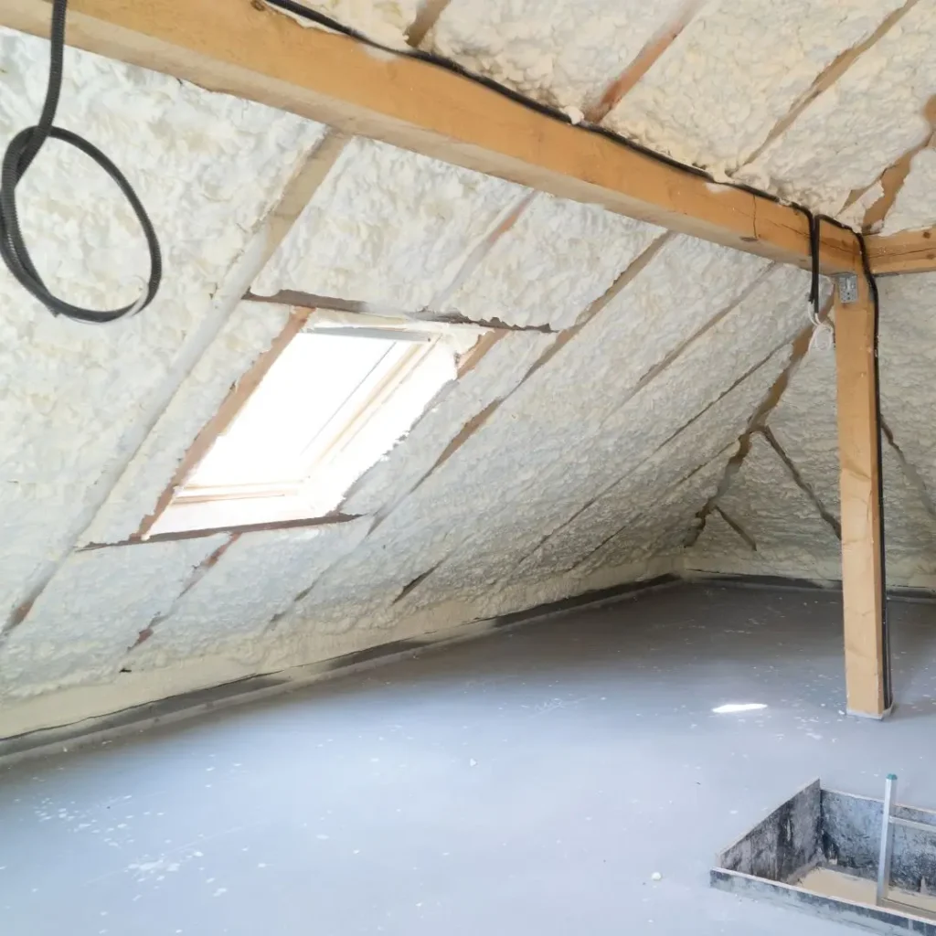 Gallery image 8 — mold remediation near me