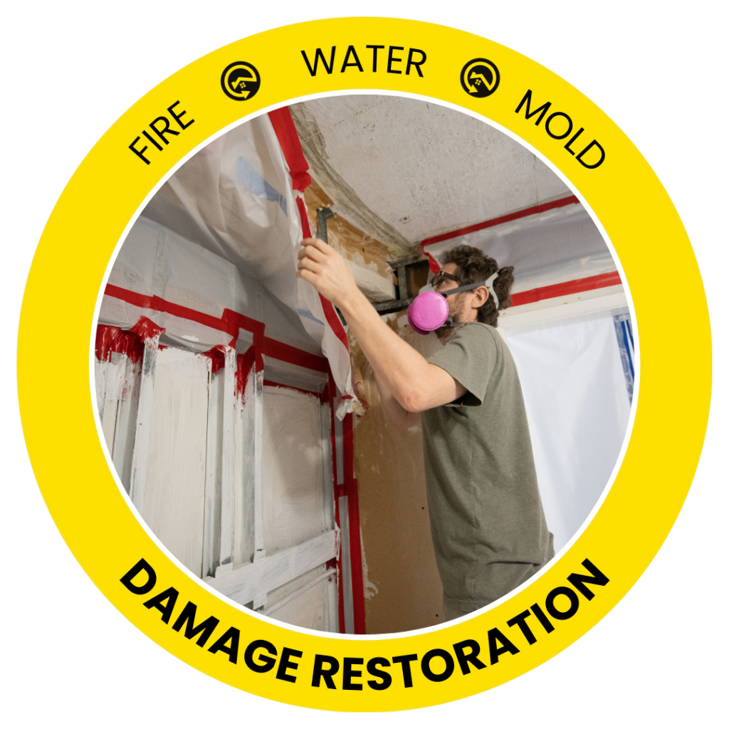 mold remediation near me