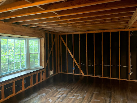 About mold testing Atlanta