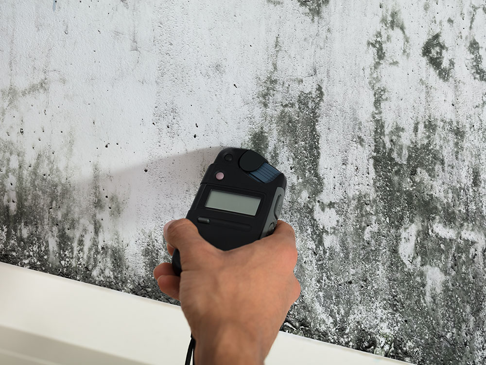 best mold testing company Atlanta