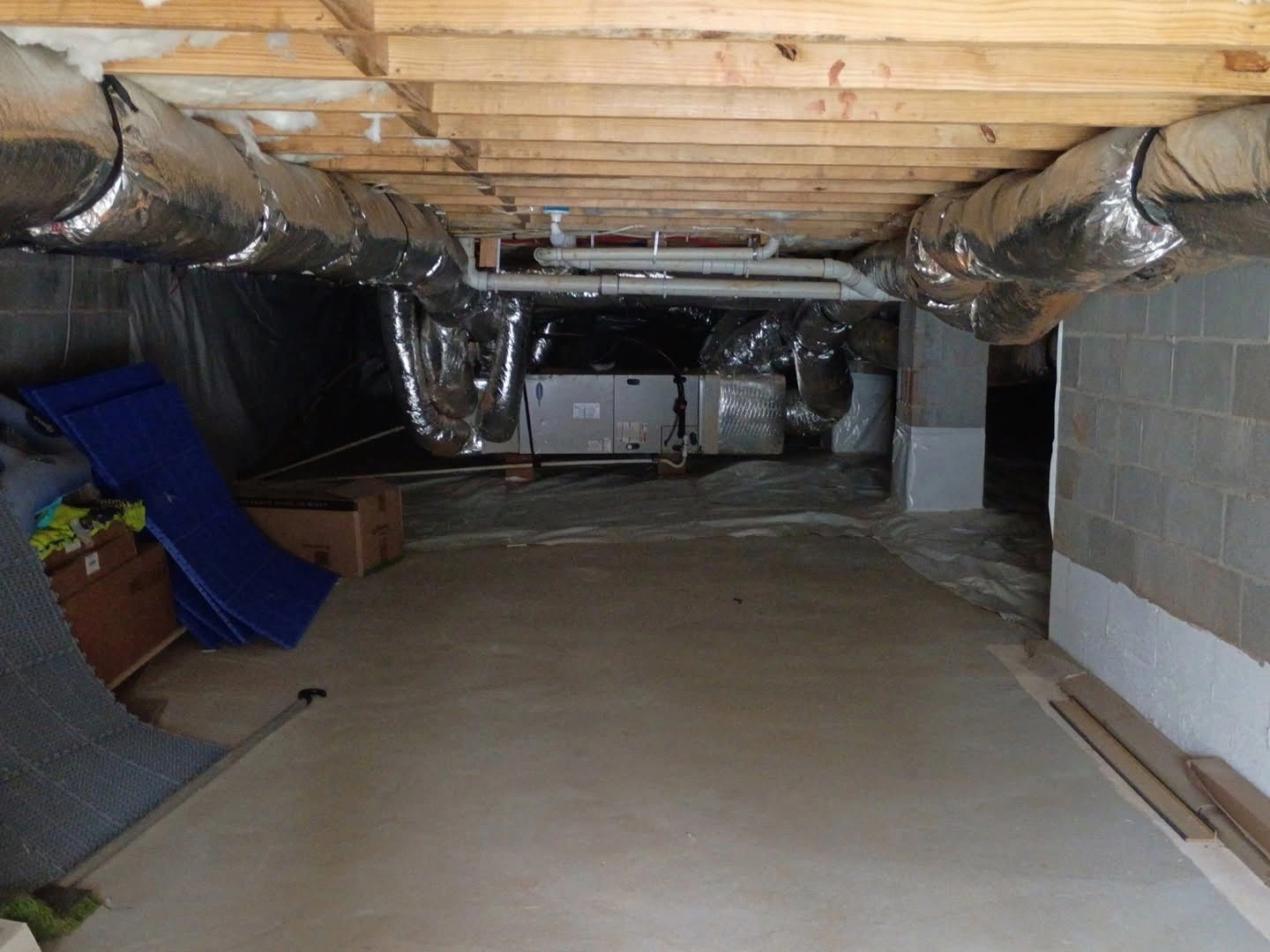 Gallery image 1 — mold removal Atlanta