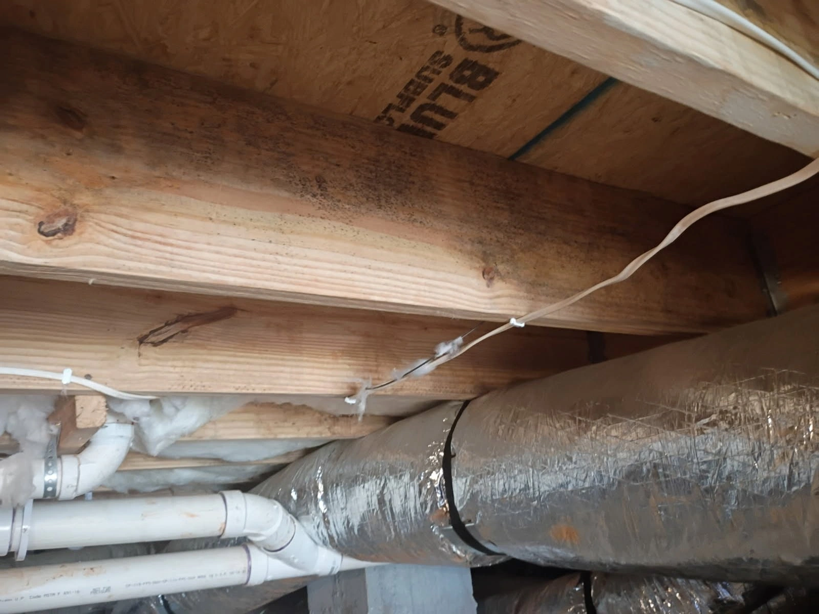 Gallery image 8 — mold removal Atlanta