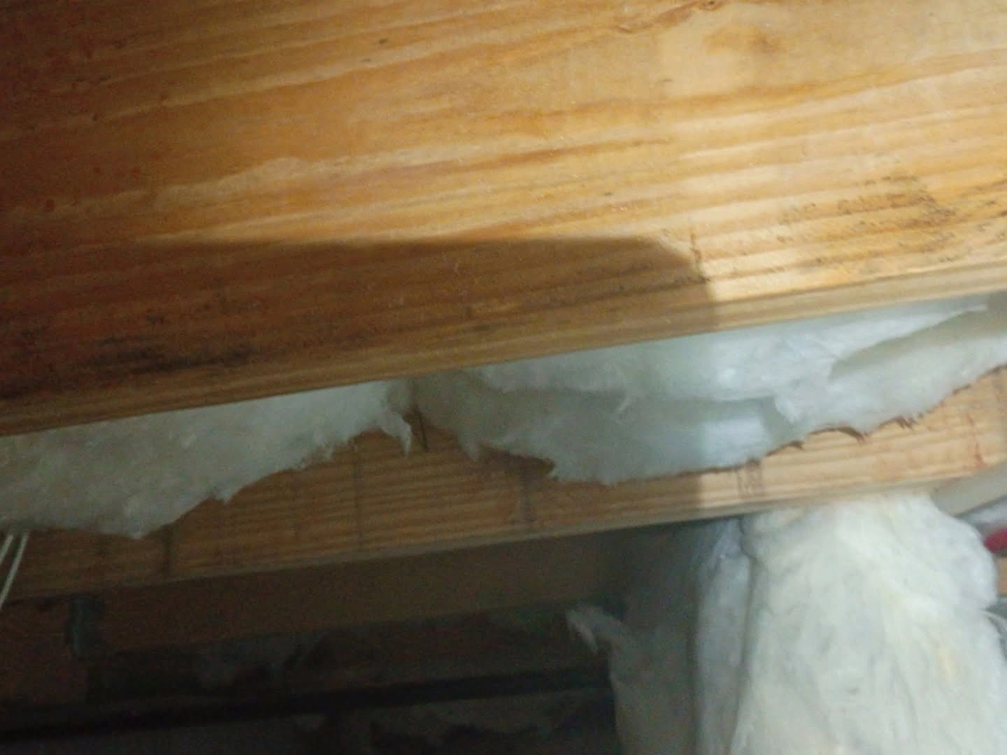 Gallery image 2 — mold removal Atlanta