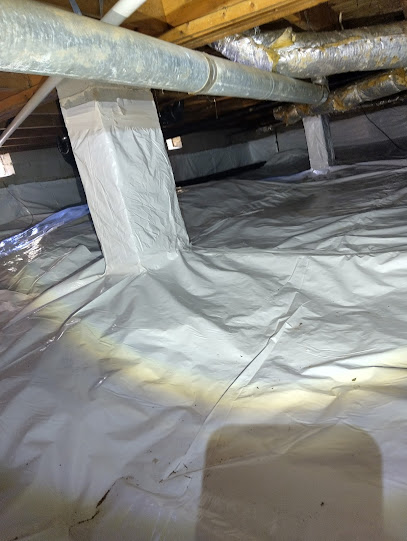 About mold removal Atlanta